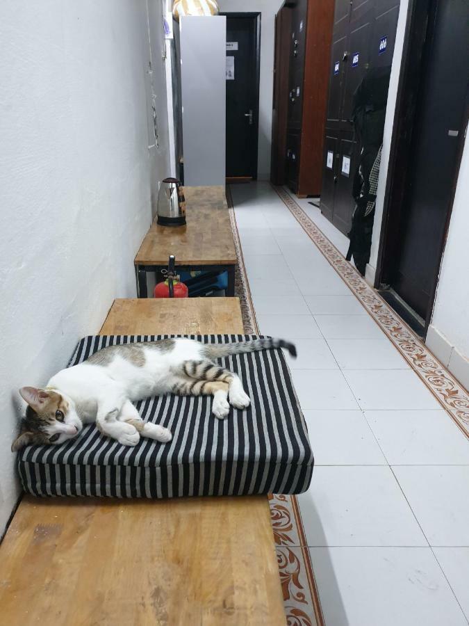 Хостел Starfish Alley Дананг